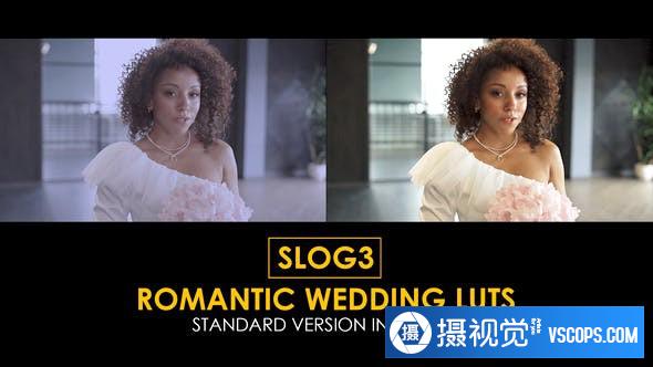 15个浪漫婚礼MV视频LUT调色预设Slog3及Rec709预设 支持/FCPX/PR/PS