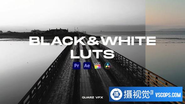 黑白电影视频颜色分级后期调色LUTs预设 支持/FCPX/PR/达芬奇