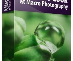 宏观摄影微距摄影-Blake Rudis - A Macro Look at Macro Photography中英字幕