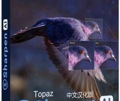 AI人工智能清晰锐化Topaz Sharpen AI 2.1.0中文汉化版 WINX64