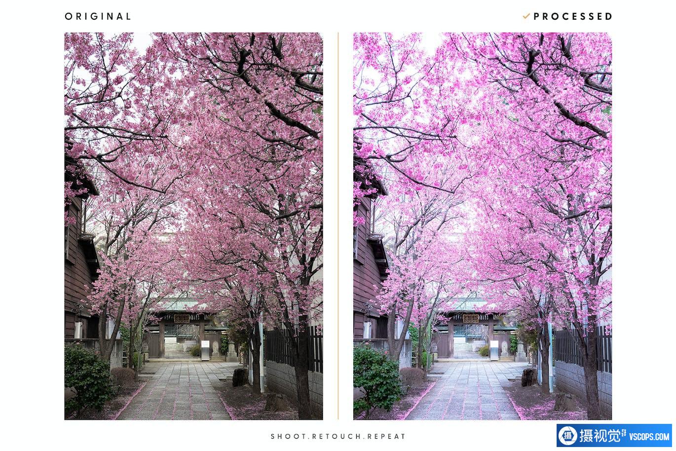 INS日系动漫风格色彩Lightroom预设 ANIME - Actions & Presets Lightroom预设,效果图3 INS日系动漫风格色彩Lightroom预设 ANIME - Actions & Presets Lightroom预设,效果图3