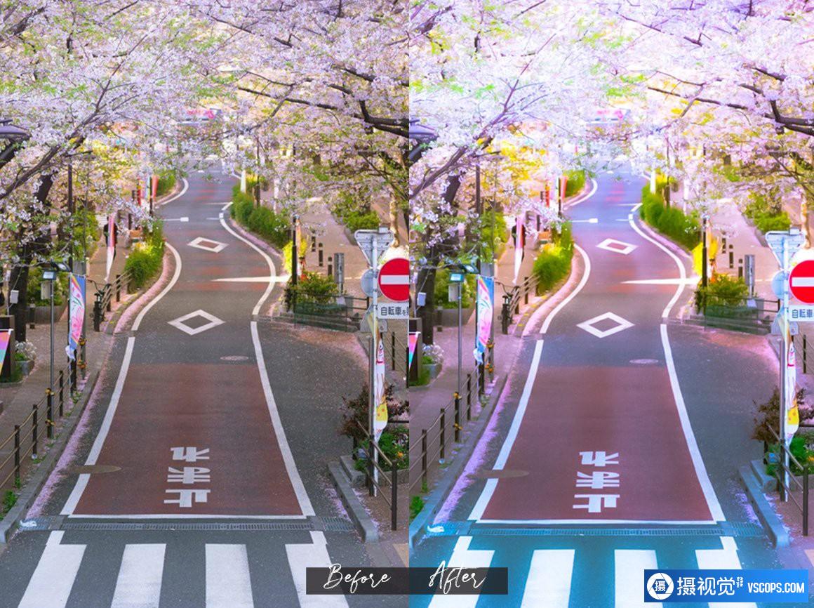 精品日系LR预设-唯美浪漫动漫风格日系Lightroom预设及移动APP滤镜 Lightroom预设,效果图9