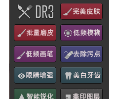 Delicious Retouch 3.0.6中文版 DR3完美磨皮官方原版汉化 支持CC2018