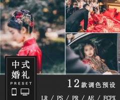 中式婚礼接亲仪式跟拍LR预设人像滤镜PS/PR/FCPX/达芬奇/LUT