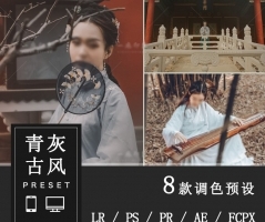 青灰古风复古汉服古装人像LR预设/FCPX/达芬奇/PR调色LUT预设