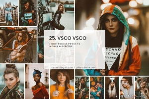 VSCO胶片后期调色Lightroom预设 -25 VSCO VSCO – LIGHTROOM PRESETS