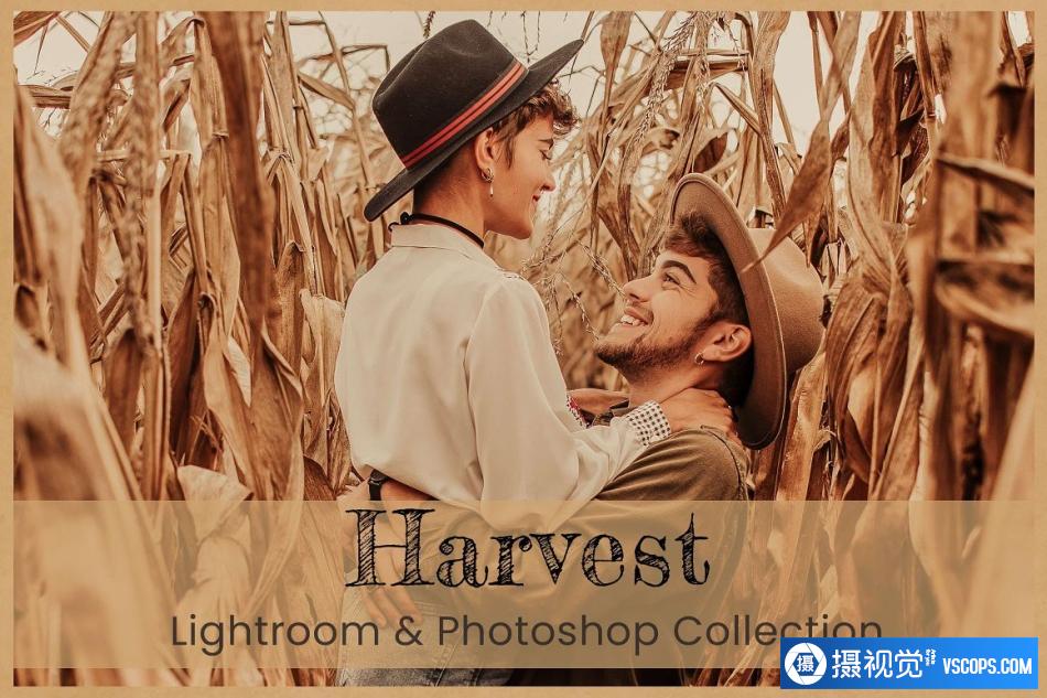 秋季人像摄影后期调色Lightroom预设及路途预设 Harvest Lightroom LUTs