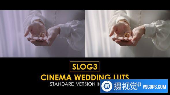 25个Slog3完美纪实电影婚礼视频调色LUT预设 支持/FCPX/PR/PS调色