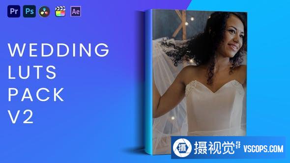 20个婚礼视频调色LUT预设 V2 支持/FCPX/PR/达芬奇/PS调色预设