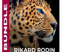 Rikard Rodin PS后期合成调色教程/背景纹理/笔刷素材23套完整包