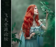 Amina Donskaya-高级文艺复兴梦幻油画风格后期调色教程-中文字幕