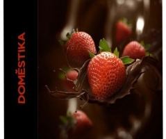 Domestika - 商业美食广告中的Photoshop合成技巧教程-中文字幕
