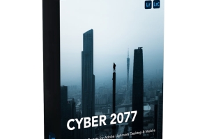 Urbexmode - 未来派蓝色 霓虹色调 街头城市夜间摄影预设CYBER 2077 Presets Pack