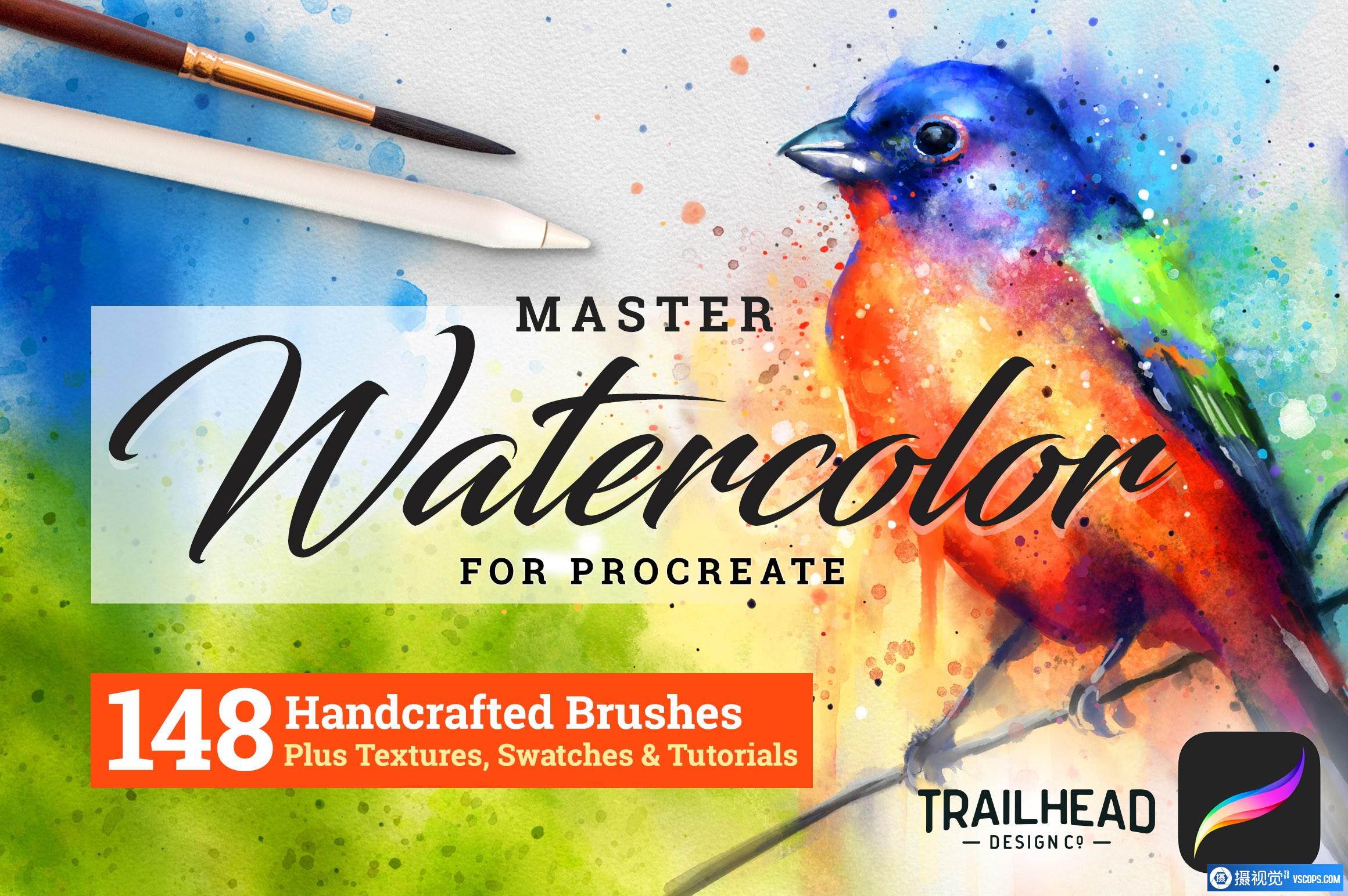传统真实和自然的水彩画Procreate笔刷可用于iPad和Procreate笔刷插图