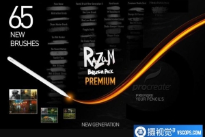 RAZUM INC 65支最新Procreate笔刷套装 支持Procreate 5