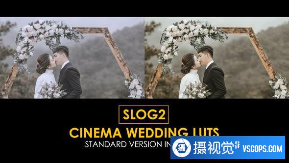 15个Slog2电影婚礼视频颜色分级LUT预设 支持/FCPX/PR/PS调色预设