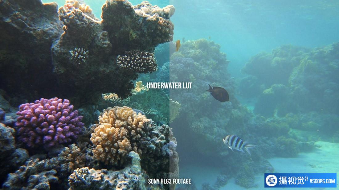 LUTs,完整的人与自然电影LUT预设Complete People Nature Cinema LUT Bundle ,效果图LUT预设下载 LUT预设,完整的人与自然电影LUT预设Complete People Nature Cinema LUT Bundle ,效果图LUT预设下载
