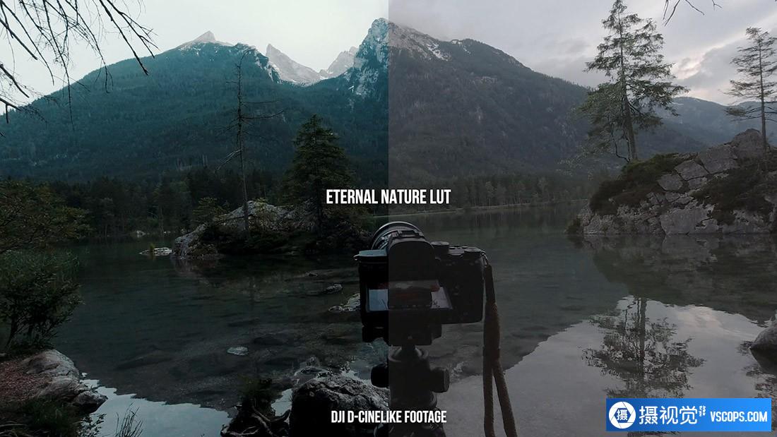 LUT预设,完整的人与自然电影LUT预设Complete People Nature Cinema LUT Bundle ,效果图LUT预设下载