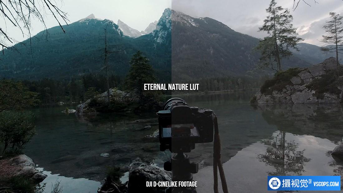 LUTs,完整的人与自然电影LUT预设Complete People Nature Cinema LUT Bundle ,效果图LUT预设下载 LUT预设,完整的人与自然电影LUT预设Complete People Nature Cinema LUT Bundle ,效果图LUT预设下载