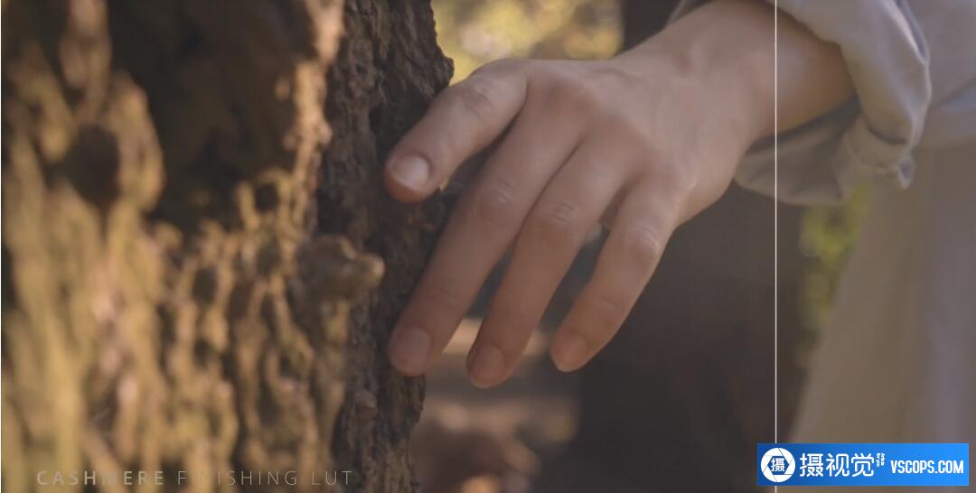 LUTs,Lens Distortions –10套67个电影短视频视频调色预设LUTS预设合集 ,效果图LUT预设下载 LUT预设,Lens Distortions –10套67个电影短视频视频调色预设LUTS预设合集 ,效果图LUT预设下载