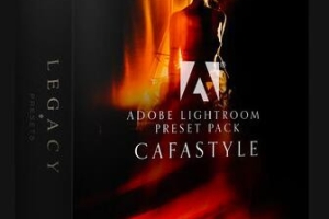 加拿大华人全球最佳婚礼摄影师 Cafa Liu 传统Lightroom预设