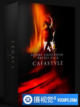 加拿大华人全球最佳婚礼摄影师 Cafa Liu 传统Lightroom预设 Lightroom预设,效果图1