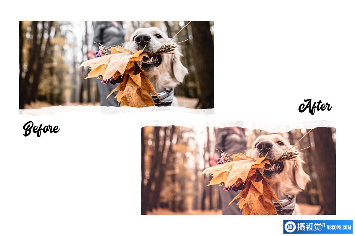 高级秋季人像摄影后期Lightroom预设 Autumn – 15 Premium Lightroom Presets Lightroom预设,效果图5