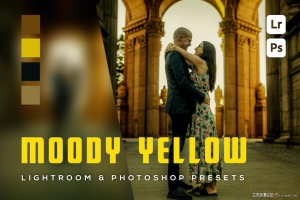 忧郁黄色电影人像Lightroom预设 Moody Yellow Lightroom Presets