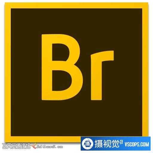 Adobe Bridge CC 2019 for Mac v9.1.0+ACR12.0 图像管理器 Br中文版