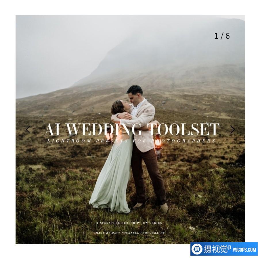 部落群岛-AI人工智能婚礼LR预设Archipelago-AI Wedding Toolset Presets