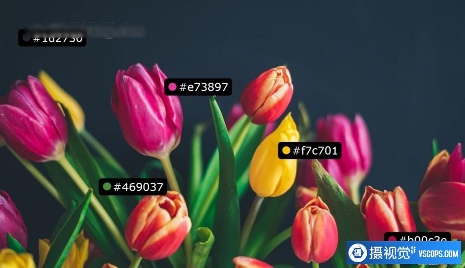 1692687536-e9ff9e12a488686