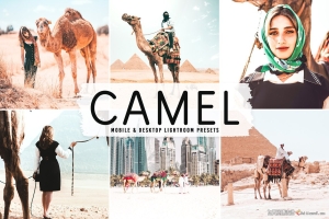 旅拍电影胶片人像后期调色Lightroom预设 Camel Pro Lightroom Presets