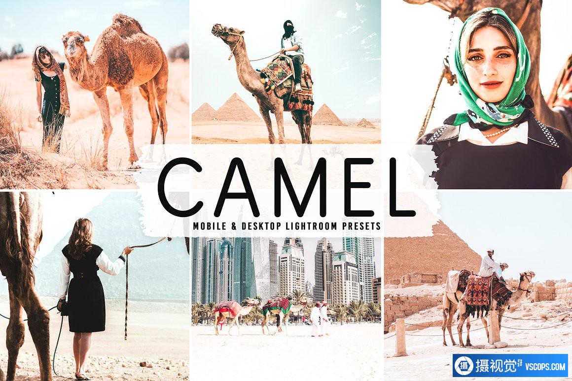 旅拍电影胶片人像后期调色Lightroom预设 Camel Pro Lightroom Presets Lightroom预设,效果图1