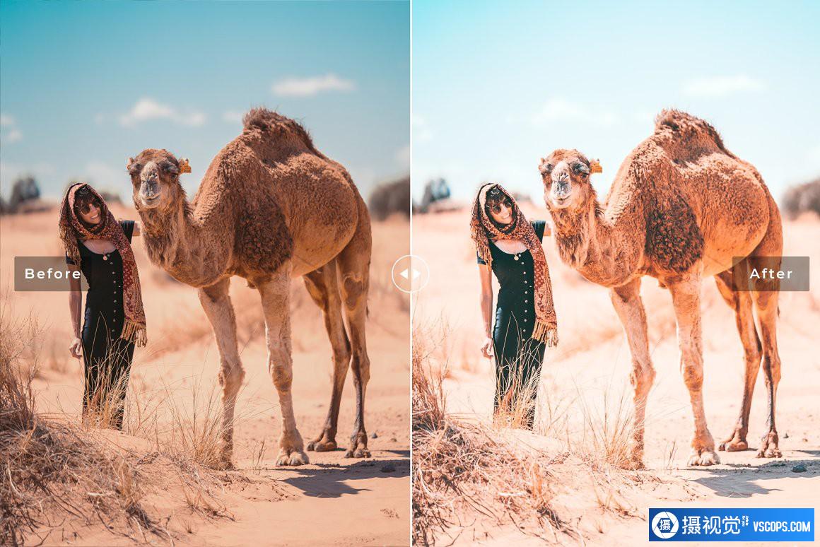 旅拍电影胶片人像后期调色Lightroom预设 Camel Pro Lightroom Presets Lightroom预设,效果图4