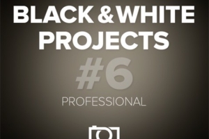 专业黑白滤镜Franzis BLACK WHITE projects 6 professional for mac 汉化版