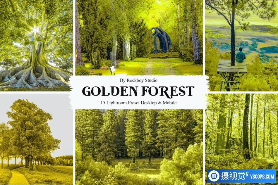 风光自然场景金色森林Lightroom预设 15 Golden Forest Lightroom Presets