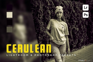 复古单色胶片Lightroom预设 Cerulean Lightroom and Photoshop Presets