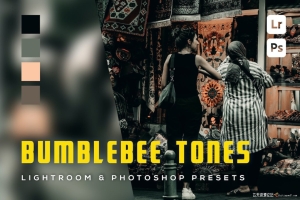黑暗电影风格Lightroom预设 Bumblebee tones Lightroom Presets