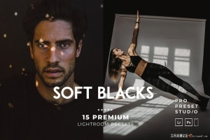 城市风光黑金胶片人像Lightroom预设APP滤镜 Soft Blacks Lightroom Presets