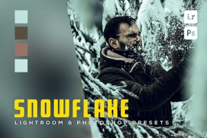 冬季电影风光调色Lightroom预设 Snowflake Lightroom Presets