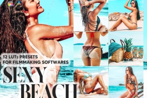 12 个性感人像海滩视频后期调色LUT预设 12 Sexy Beach Video LUTs Presets