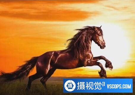 Lightroom+Photoshop摄影后期高级调色修图教程 第一季 中文字幕