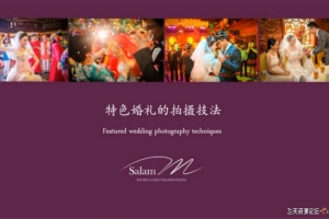 婚纱婚礼摄影与后期一百讲中文教程(大合集)