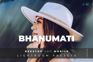 时尚街拍电影人像Lightroom预设APP滤镜 Bhanumati Lightroom Preset