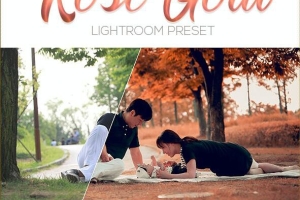 秋季人像玫瑰金色调Lightroom预设 Rose Gold Lightrom Preset