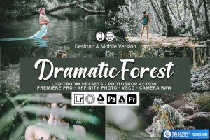 旅拍森系电影色调Lightroom预设 Dramatic Forest Presets
