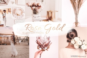 玫瑰金系列高级人像Lightroom预设 Rose Gold Collection - Lr Presets