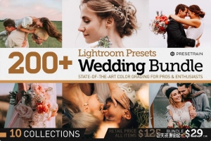 200+高级婚礼Lightroom预设及APP预设合集 200+ Wedding Presets Bundle 2021