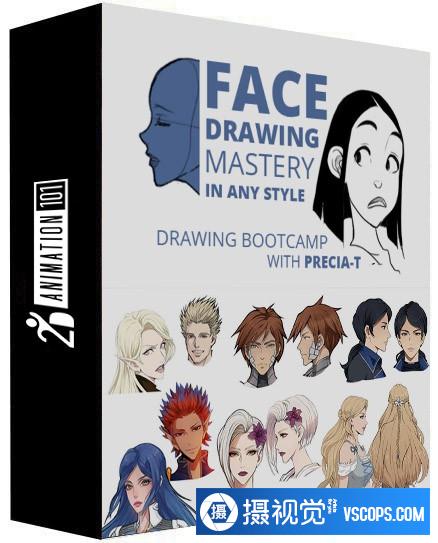 2danimation101- 掌握任何风格的面部绘画训练营-中英字幕