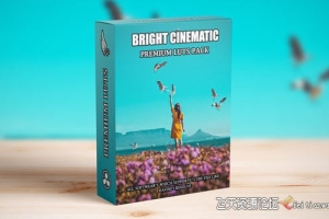 明亮自然电影调色LUT预设 Bright Nature Cinematic Film LUTs Pack